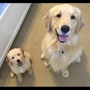 Meet your Posher, Kaia